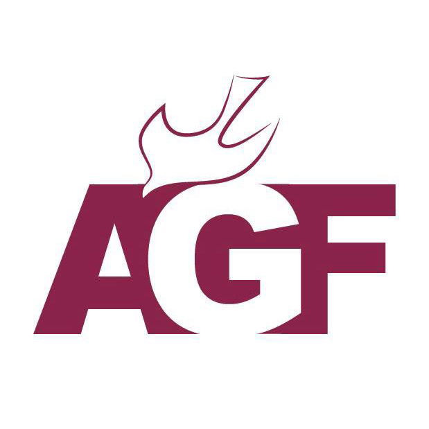 Amazing Grace Fellowship image