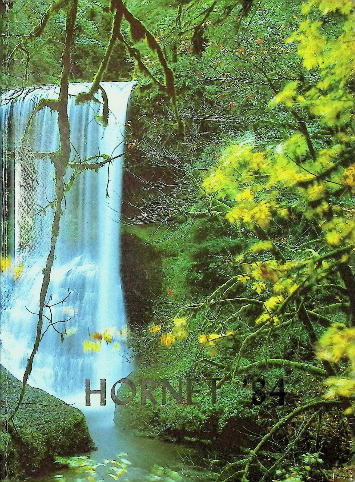 1984 Hornet